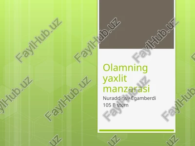 olamning yaxlit manzarasi pptx — PPTX