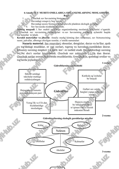 amaliy suv muhiti omillariga organizmlarning moslashishi — DOCX