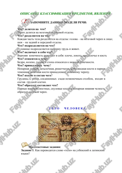 opisanie klassifikatsii predmetov, yavleniy — DOCX