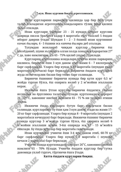 ipak qurtini boqish agrotexnikasi — DOCX