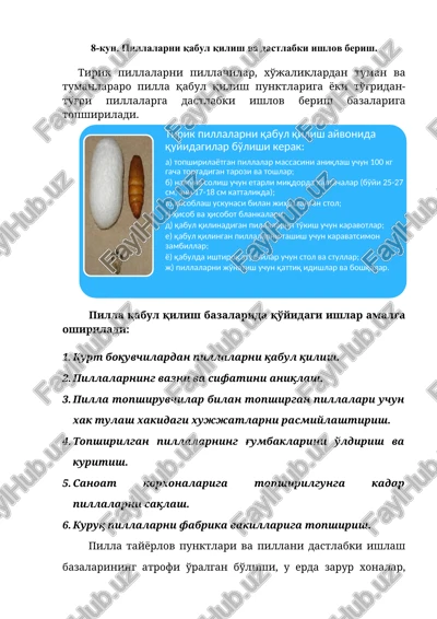 pillalarni qabul qilish va dastlabki ishlov berish — DOCX