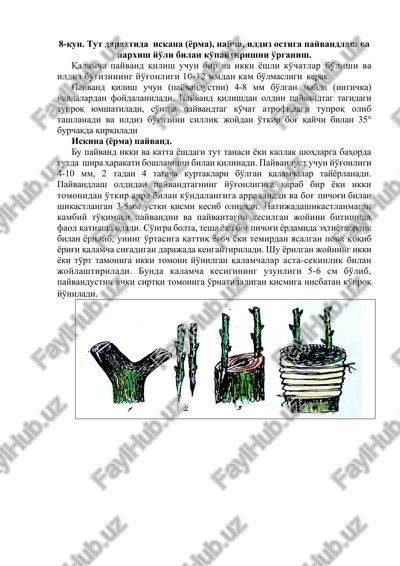 iskina (yorma) payvand — DOCX