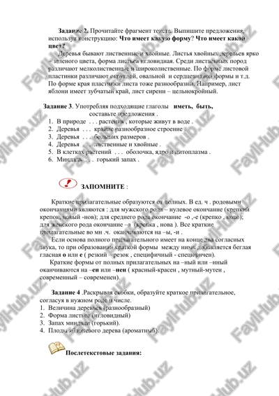 forma i tsvet rasteniy — DOCX