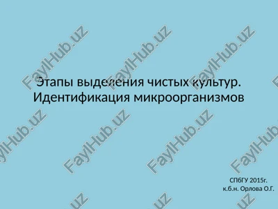 razmnojenie bakteriy na jidkix i plotnix pitatelnix sredax. fazi razvitiya bakterialnoy populyatsii — PPT