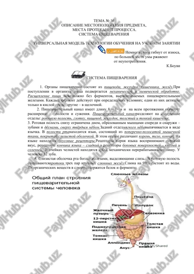 universalnaya model texnologii obucheniya na uchebnom zanyatii — DOCX