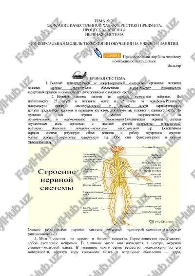 nervnaya sistema — DOCX