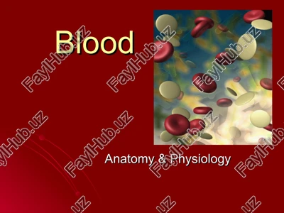 functions of blood — PPT