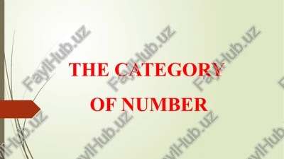 the category of number — PPTX