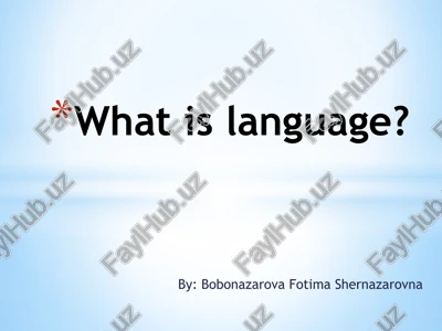 what is language? — PPTX