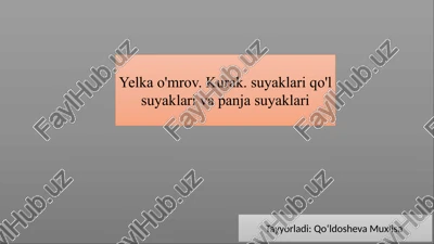 yelka, o‘mrov, kurak va qo‘l suyaklari anatomiyasi — PPTX