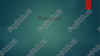 pranauns — PPTX