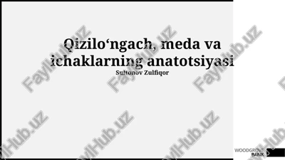 qizilo‘ngach, meda va ichaklarning anatotsiyasi — PPTX