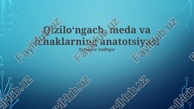 qizilo‘ngach, meda va ichaklarning anatotsiyasi — PPTX