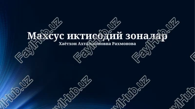 maxsus iqtisodiy zonalar — PPTX