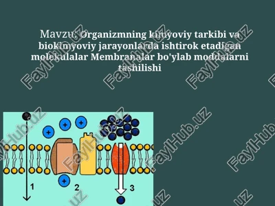 organizmning kimyoviy tarkibini biokimyoviy jarayonlarda ishtirok etadigan molekular membranalar bo'ylab moddalarni tashilishi — PPTX
