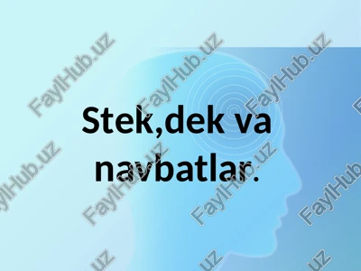 stek,dek va navbatlar — PPTX