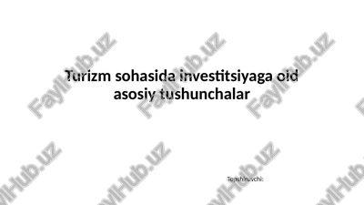 turizm sohasida investitsiyaga oid asosiy tushunchalar — PPTX