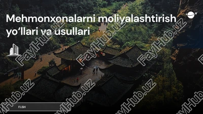mehmonxonalarni moliyalashtirish yo‘llari va usullari — PPTX