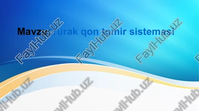 yurak qon tomir sistemasi — PPTX