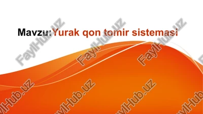 yurak qon tomir sistemasi — PPTX