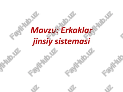 erkaklar jinsiy sistemasi — PPTX