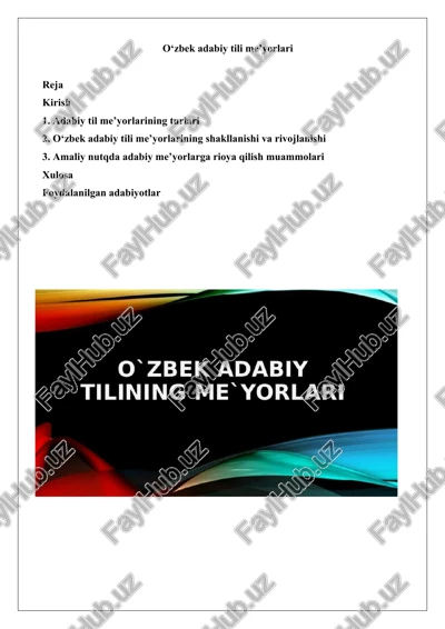 o‘zbek adabiy tili me’yorlari — DOCX
