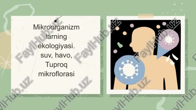 mikroorganizmlar ekologiyasi — PPTX