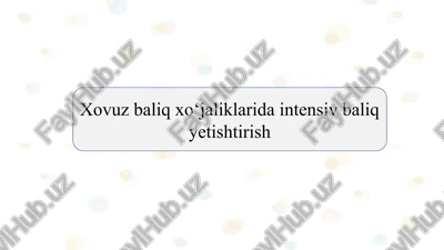 xovuz baliq xo‘jaliklarida intensiv baliq yetishtirish slayd — PPTX