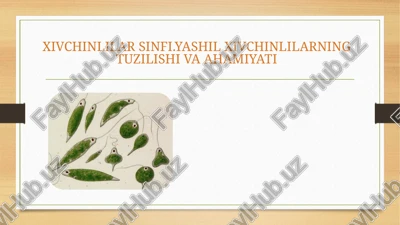 xivchinlilar sinfi.yashil xivchinlilarning tuzilishi va ahamiyati — PPTX