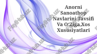 anorni sanoatbop navlarini tavsifi va oʻziga xos xususiyatlari — PPTX