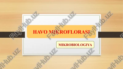 havo mikroflorasi — PPTX