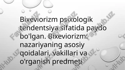 bixeviorizm — PPTX