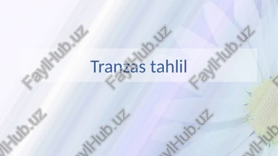 tranzastahlil — PPTX