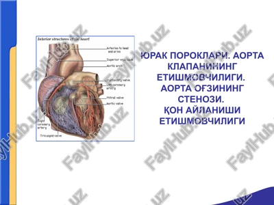 yurak poroklari. aorta klapanining etishmovchiligi.aorta og'zining stenozi.qon aylanishi etishmovchiligi — PPTX