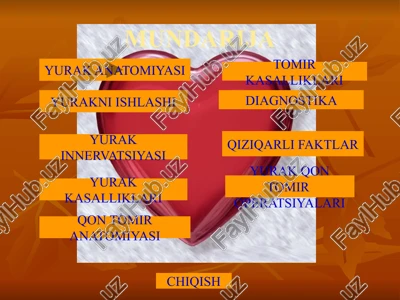 yurak anatomiyasi — PPTX