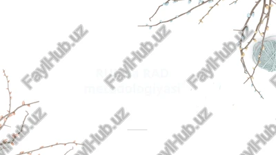 rup va rad metodologiyasi — PPTX