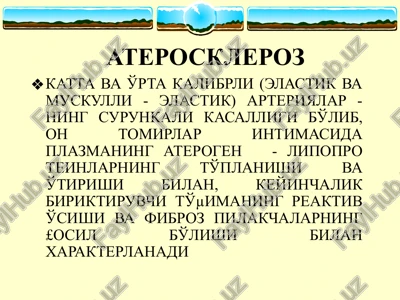 ateroskleroz — PPTX