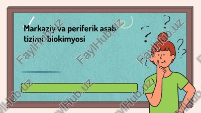 markaziy va periferik asab sistemasi biokimyosi — PPTX