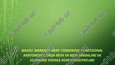 markaziy nerv tizimining funktsional anatomiyasi orqa miya va miya pardalari va ularning yoshga doir xususiyatlari — PPTX