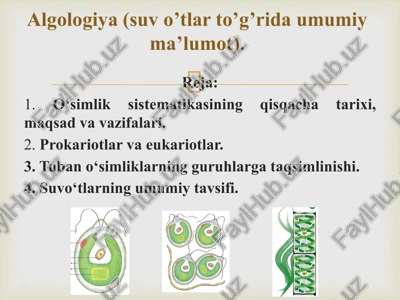 o‘simliklar sistematikasi — PPT