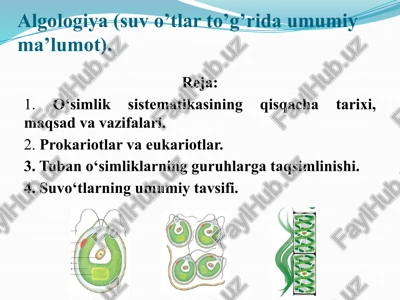 algologiya — PPTX