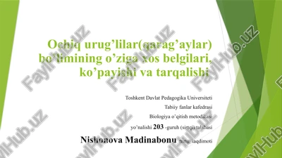 ochiqurug’lio’simliklar haqida umumiy ma’lumot — PPTX