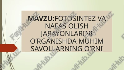 fotosintez va nafas olish jarayonlari — PPTX