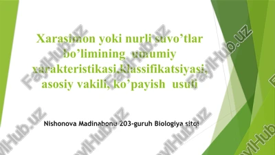 xarasimonyokinurlisuvo’tlar bo’limi — PPTX