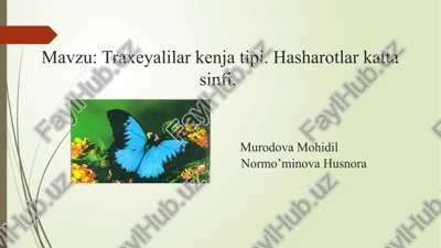 traxeyalilar kenjati turi — PPTX
