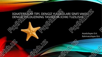 ignaterililar tipi. dengiz yulduzlari sinfi vakili dengiz yulduzining tashqi va ichkituzilishi — PPTX
