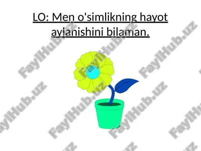 urug' o'simlikning hayot aylanish jarayoni va uning muhim bosqichlari haqida — PPTX