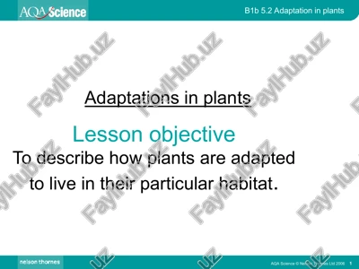 adaptations in plants — PPT