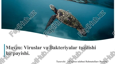 viruslar va bakteriyalartuzilishi — PPTX