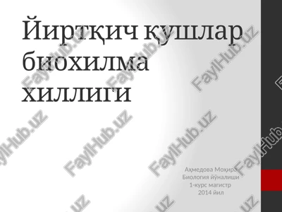 yirtqich qushlar bioxilma xilligi — PPTX